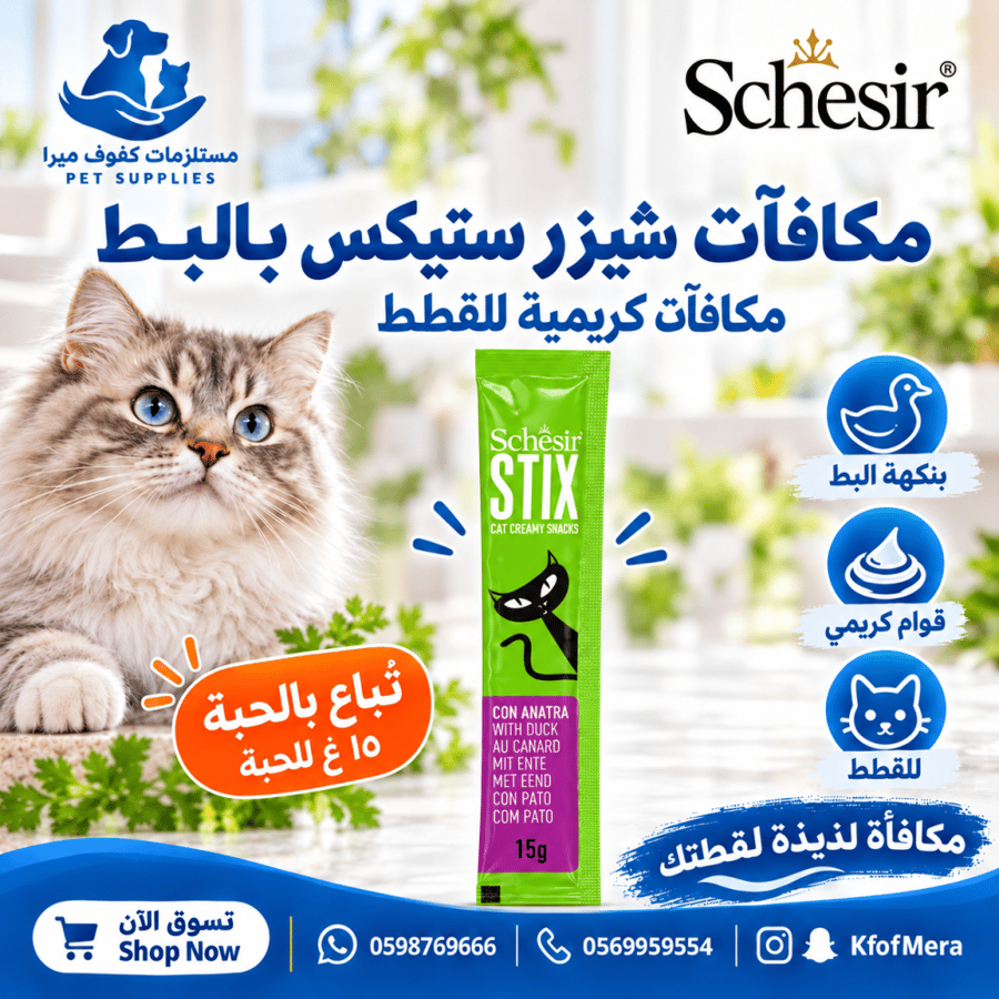مكافات شيزر بالبط للقطط