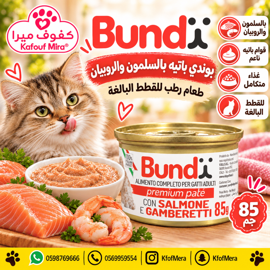 بوندي بريميوم باتيه طعام رطب للقطط البالغة بالسلمون والروبيان – 85 جم