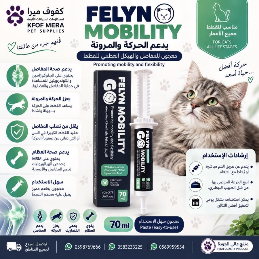 فلاين قو معجون موبيلتي 70جرام
