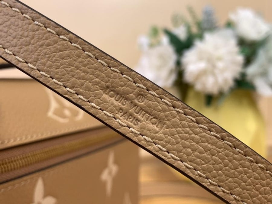 Louis Vuitton handbag