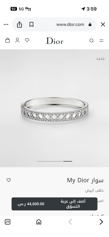Bracelet of brand (DIOR)