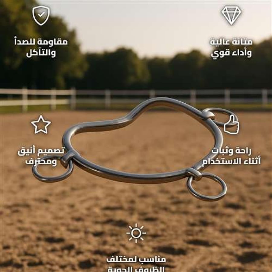 DPT Stainless Steel Horse Bit Silver Rust-Resistant for Training
