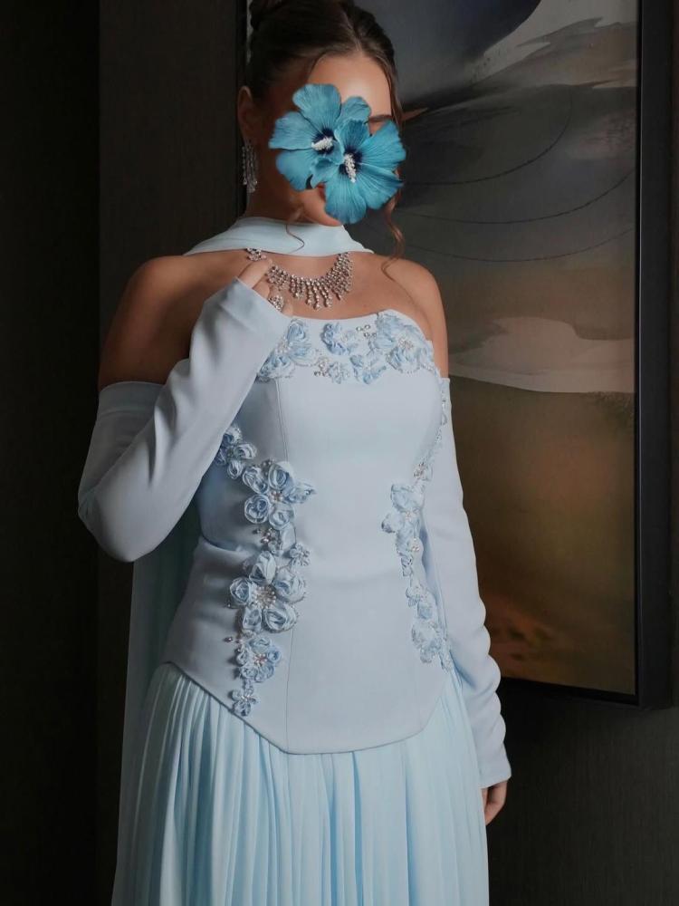 Barbie dress + embroidered chiffon