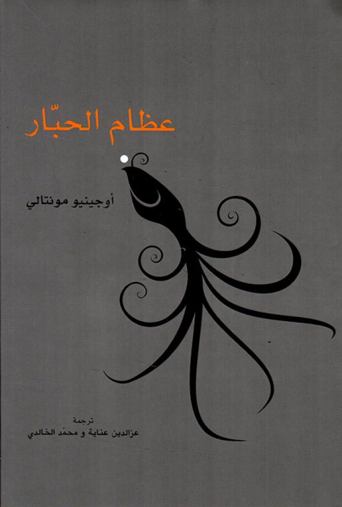 عظام الحبار