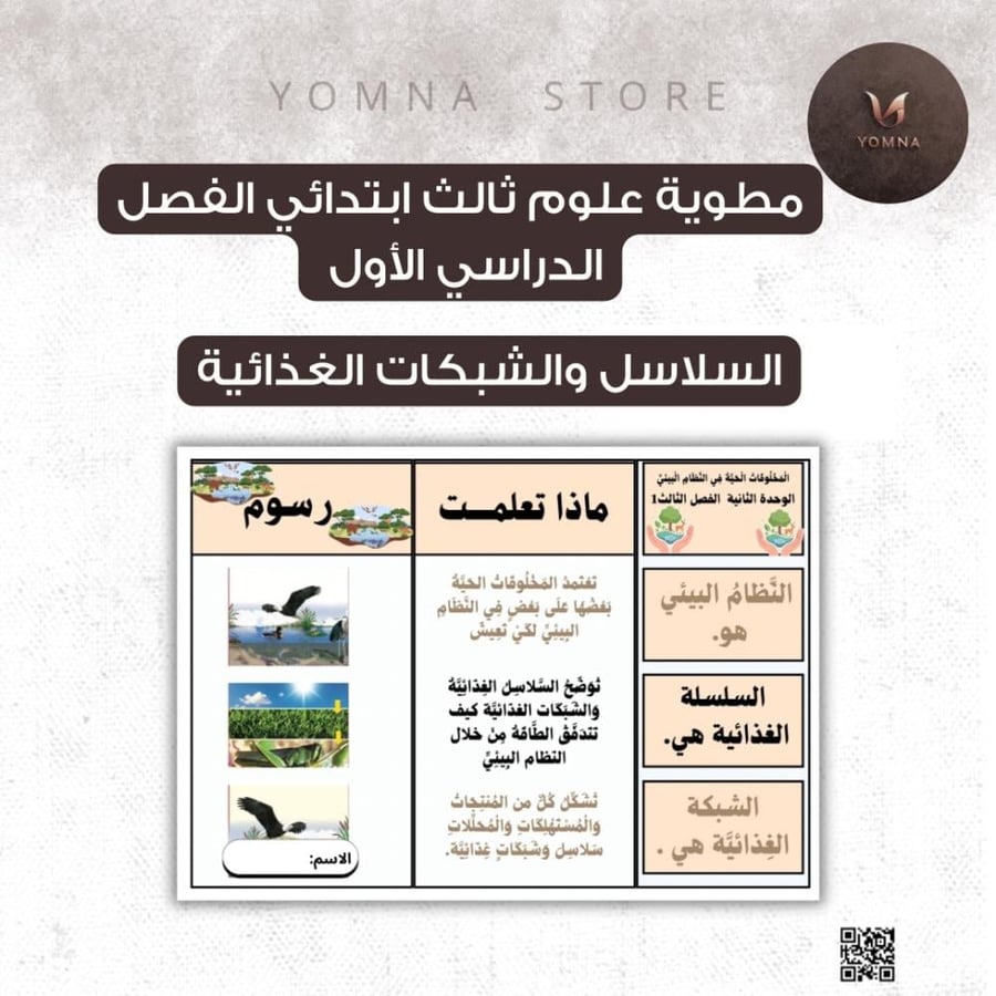 مطوية السلاسل والشبكات الغذائية علوم ثالث ابتدائي الفصل ١
