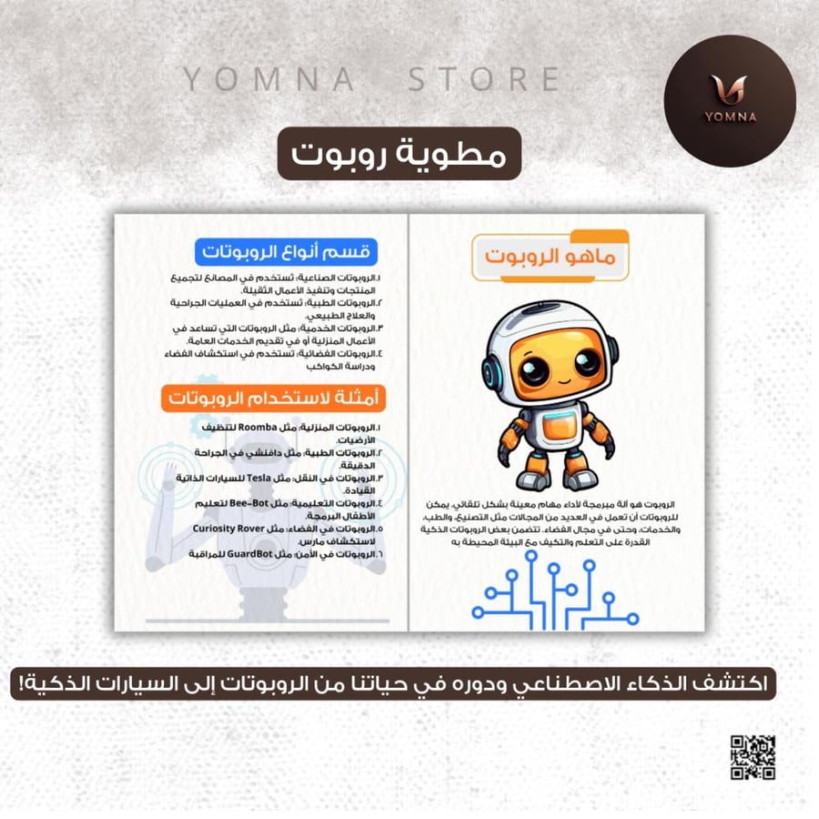 Flyer about the robot pdf