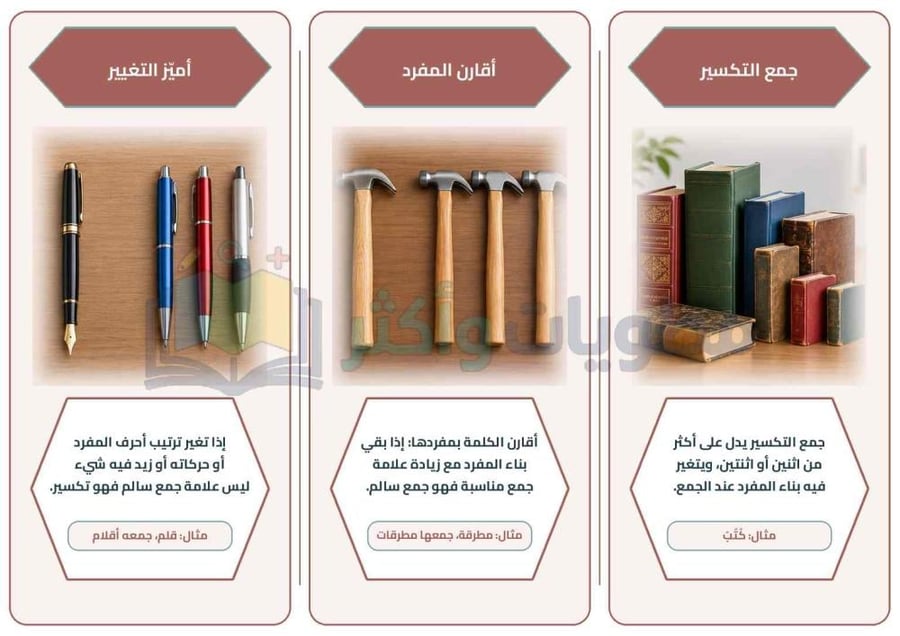 مطوية الجمع السالم وجمع التكسير لغتي الخالدة أول متوسط جاهزة PDF