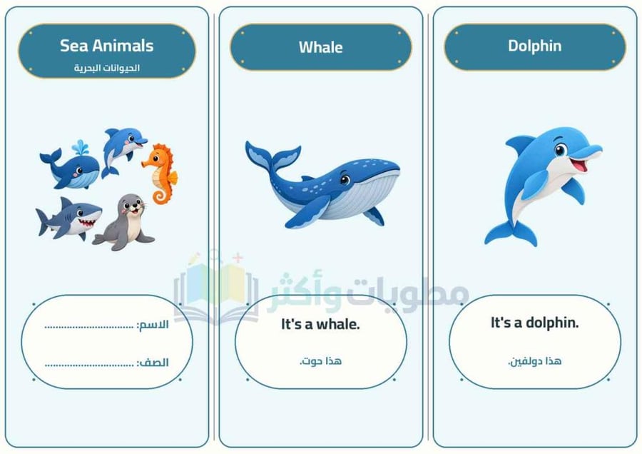 مطوية الحيوانات البحرية إنجليزي ثالث ابتدائي | Sea Animals PDF