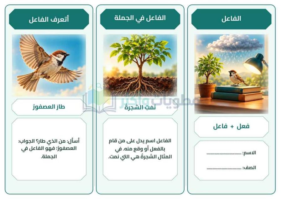 مطوية الفاعل لغتي رابع ابتدائي PDF