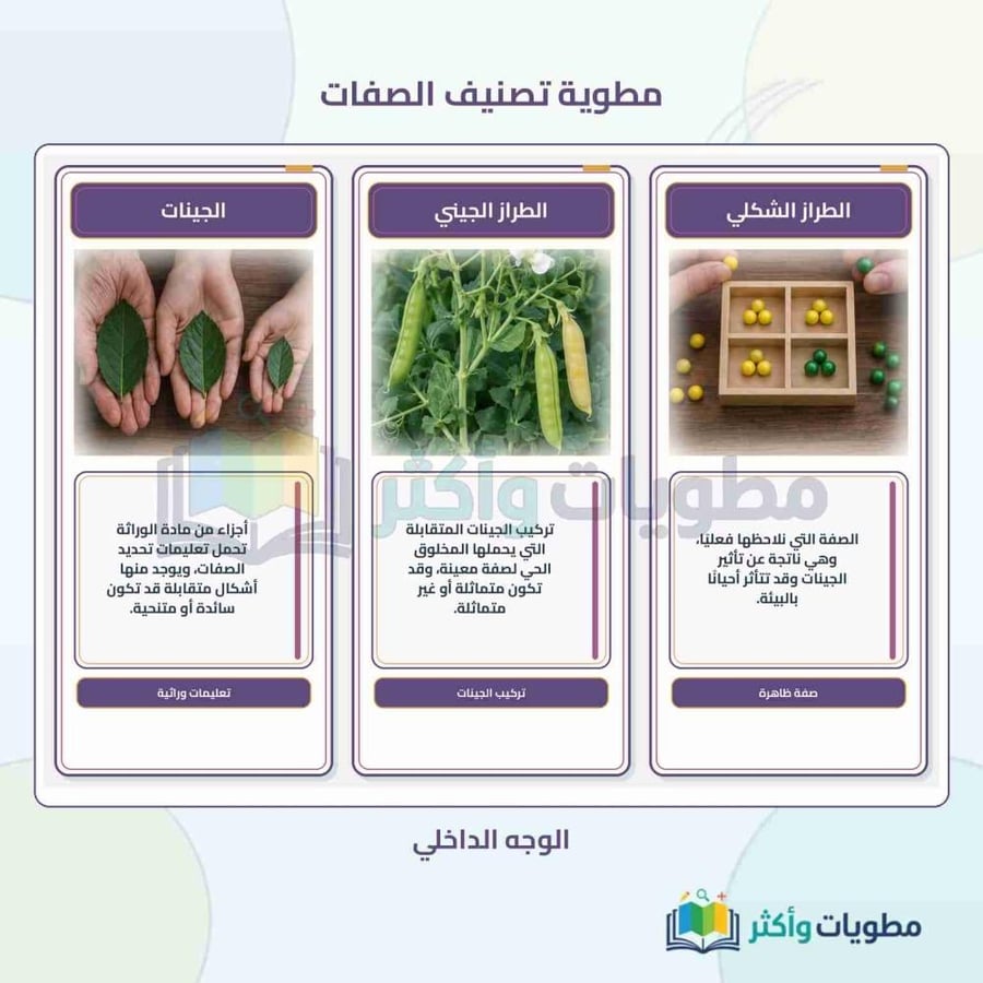 مطوية تصنيف الصفات (الوراثة) علوم ثالث متوسط الفصل الأول PDF