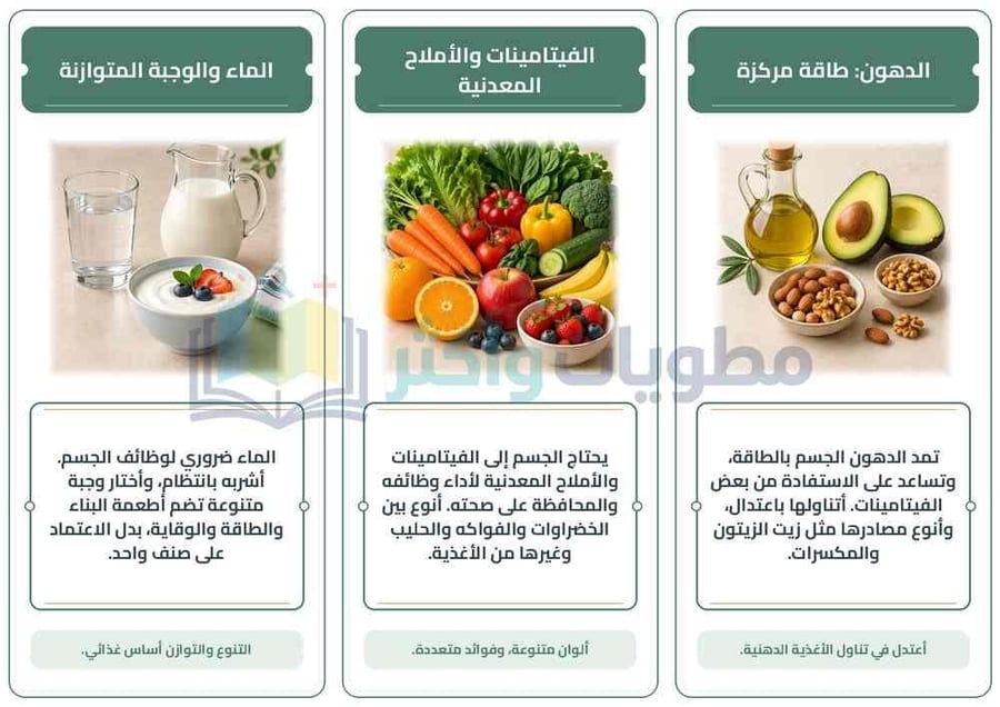 مطوية العناصر الغذائية مهارات حياتية وأسرية خامس ابتدائي PDF