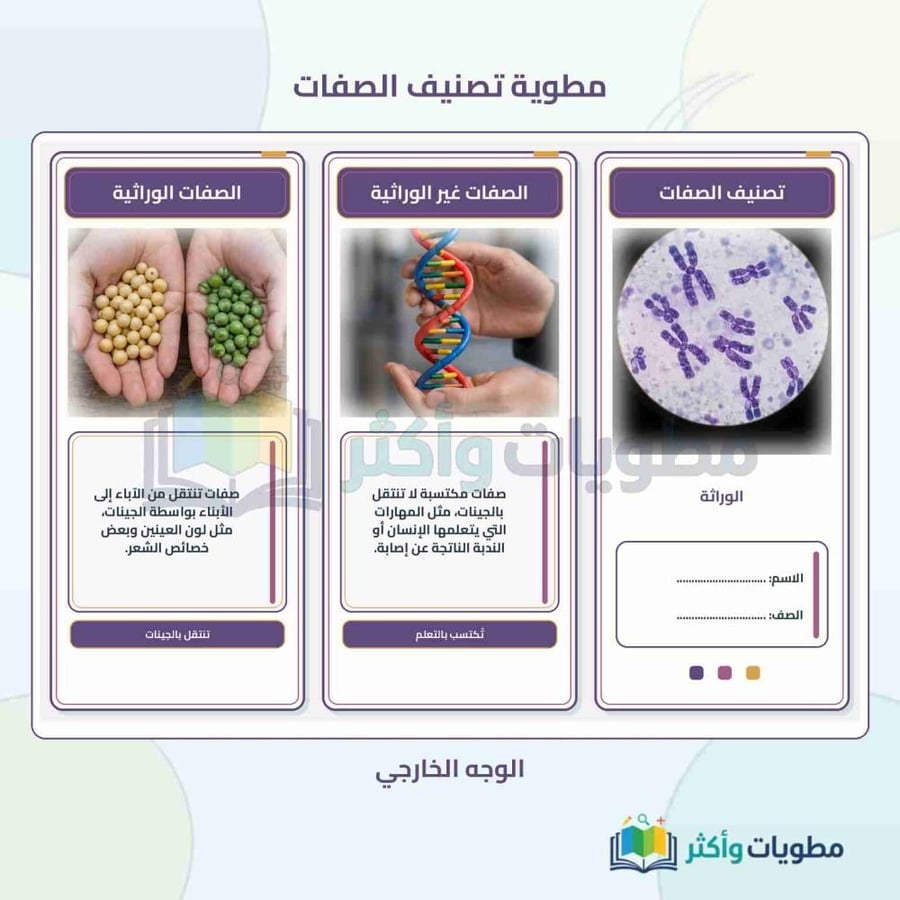 مطوية تصنيف الصفات (الوراثة) علوم ثالث متوسط الفصل الأول PDF