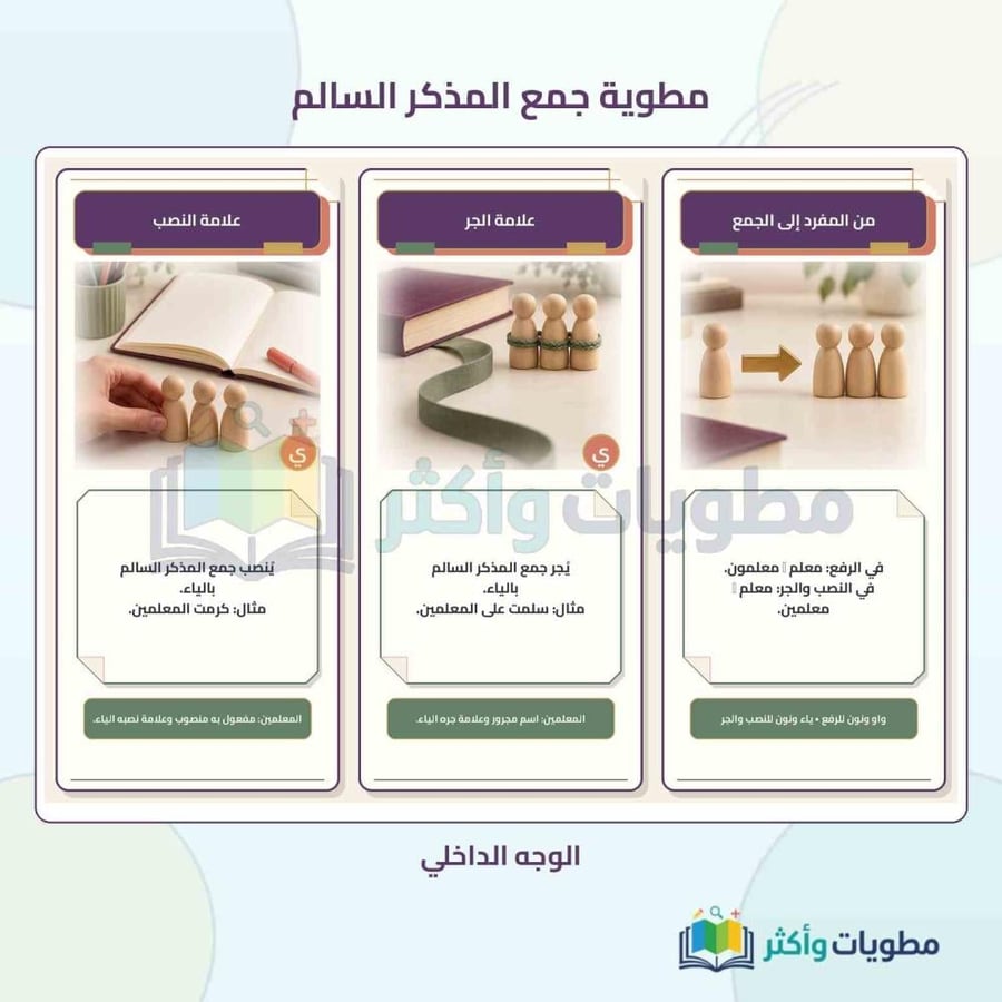 مطوية جمع المذكر السالم لغتي خامس ابتدائي الفصل الأول PDF