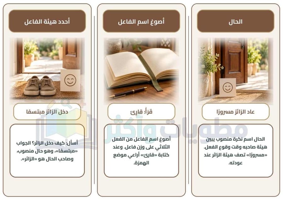 مطوية حقوق وواجبات لغتي ثالث متوسط | اسم الفاعل والقسم والحال PDF