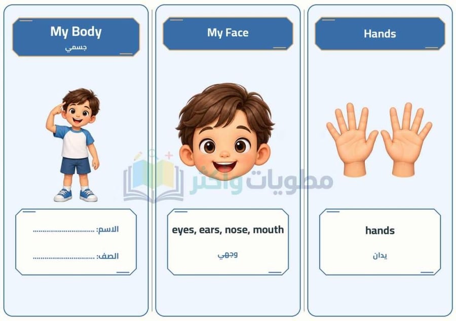 مطوية My Body جسمي إنجليزي أول ابتدائي PDF
