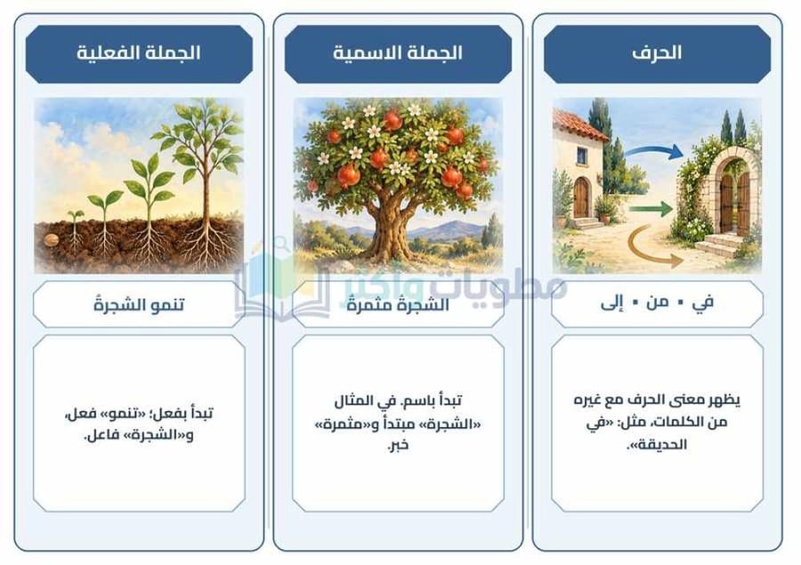 مطوية أنواع الكلمة والجملة لغتي رابع ابتدائي PDF
