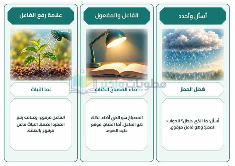 مطوية الفاعل لغتي رابع ابتدائي PDF