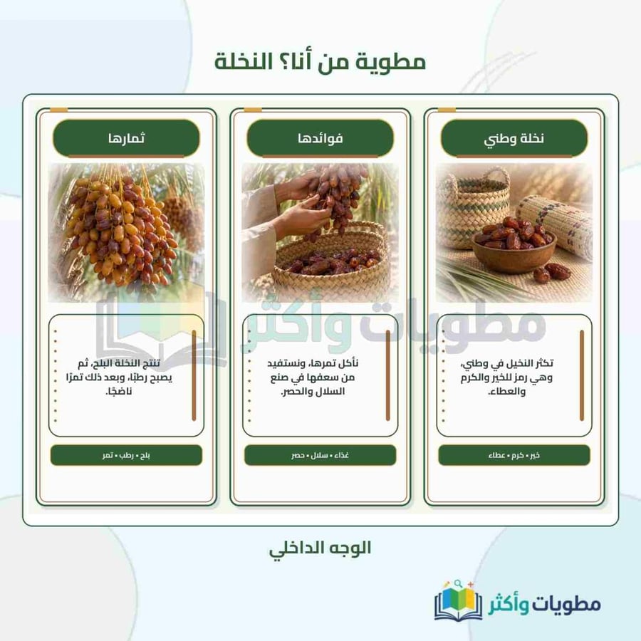 مطوية درس من أنا (النخلة) لغتي ثاني ابتدائي الفصل الأول PDF