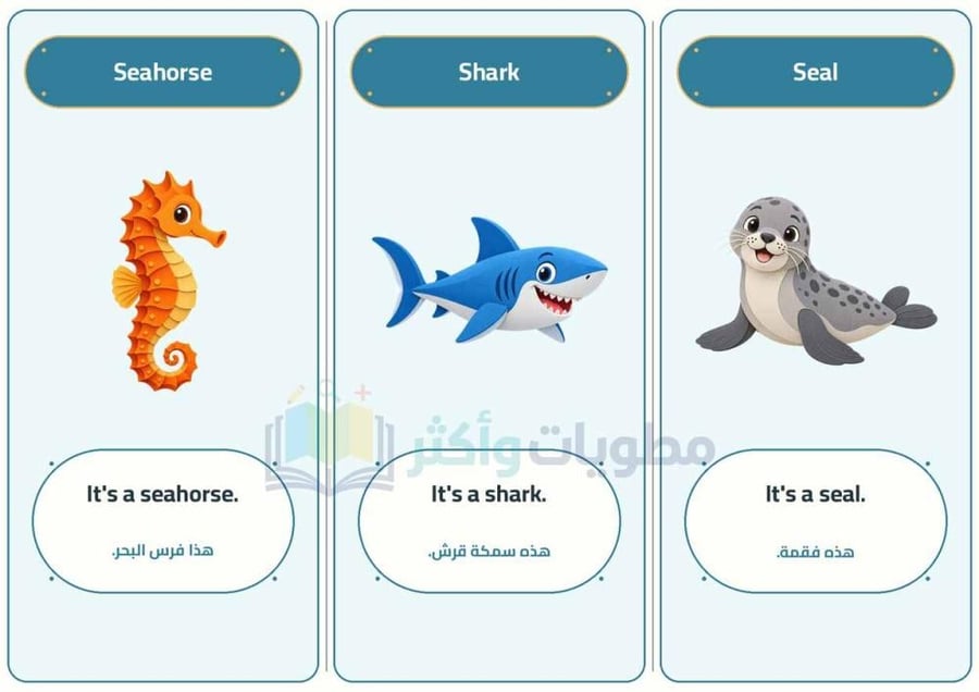 مطوية الحيوانات البحرية إنجليزي ثالث ابتدائي | Sea Animals PDF
