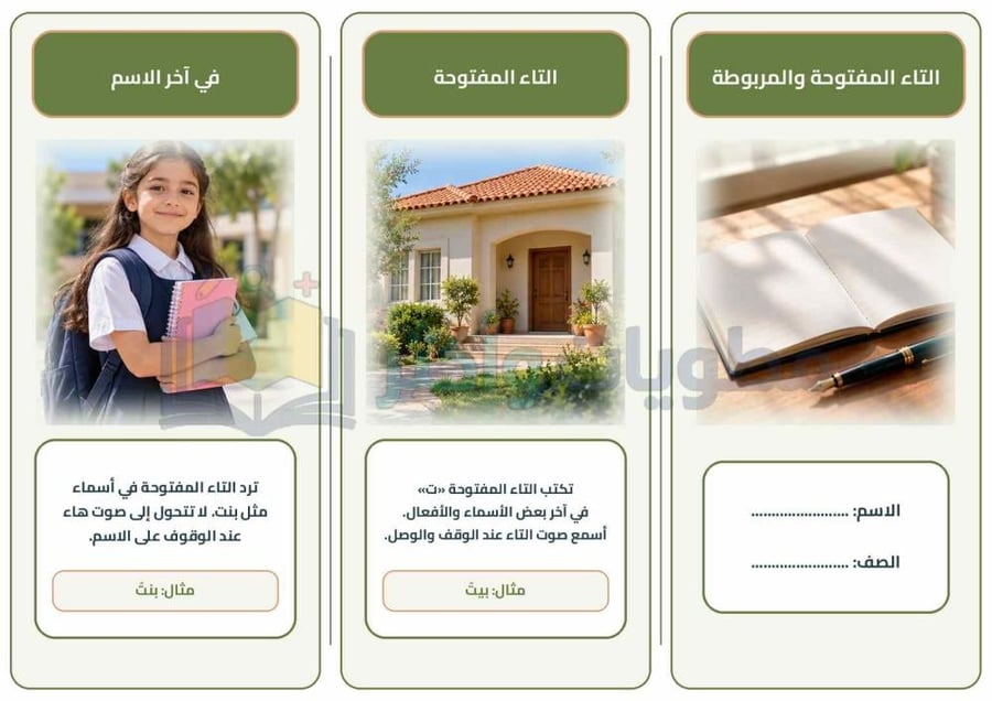 مطوية التاء المفتوحة والتاء المربوطة لغتي الخالدة أول متوسط جاهزة PDF