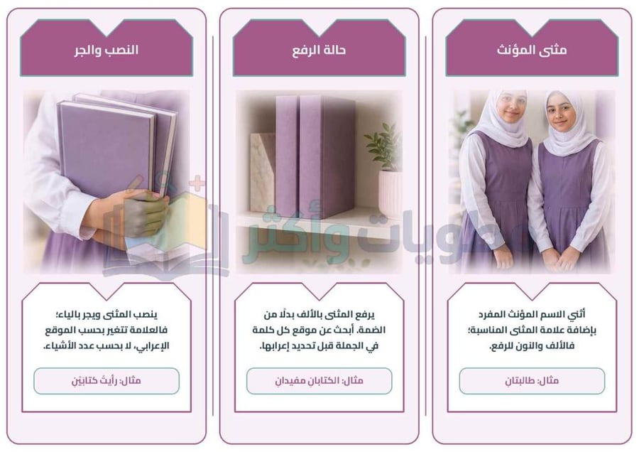 مطوية المفرد والمثنى لغتي الخالدة أول متوسط جاهزة PDF