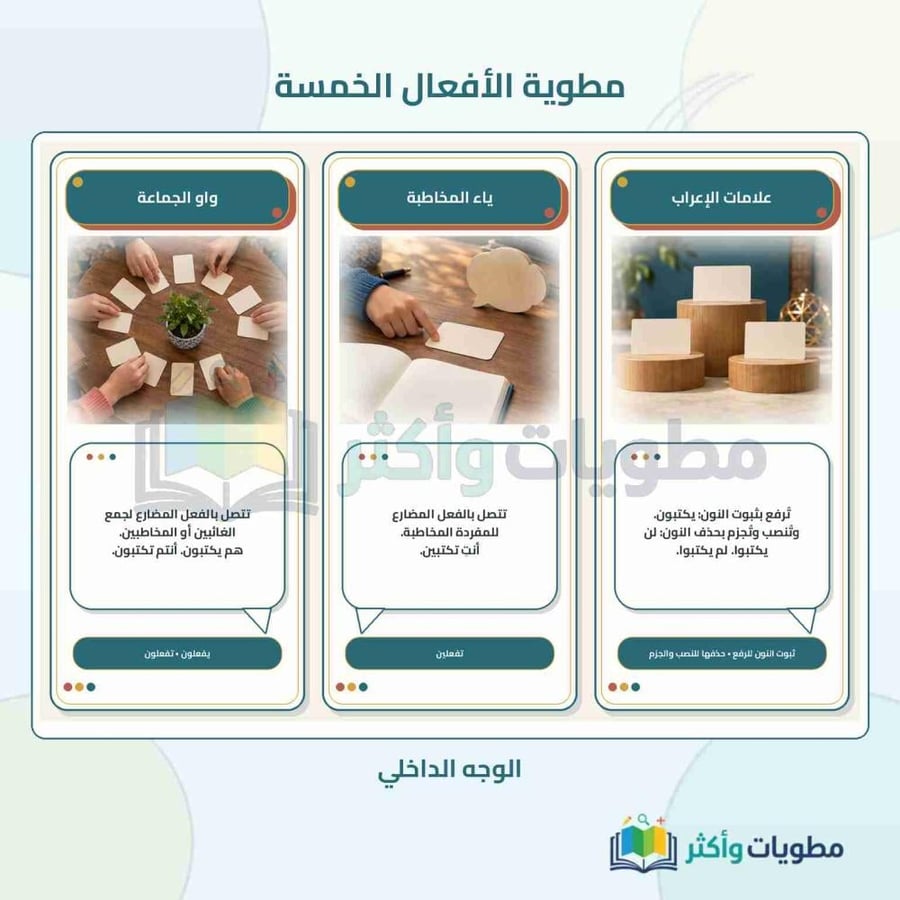 مطوية الأفعال الخمسة لغتي خامس ابتدائي الفصل الأول PDF