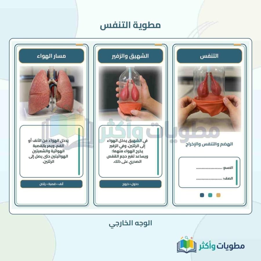 مطوية درس التنفس علوم ثاني متوسط الفصل الأول PDF