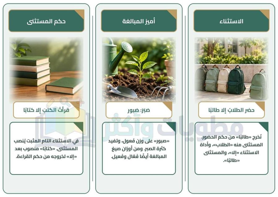 مطوية أمن وازدهار لغتي ثالث متوسط | صيغ المبالغة والتفضيل والاستثناء PDF