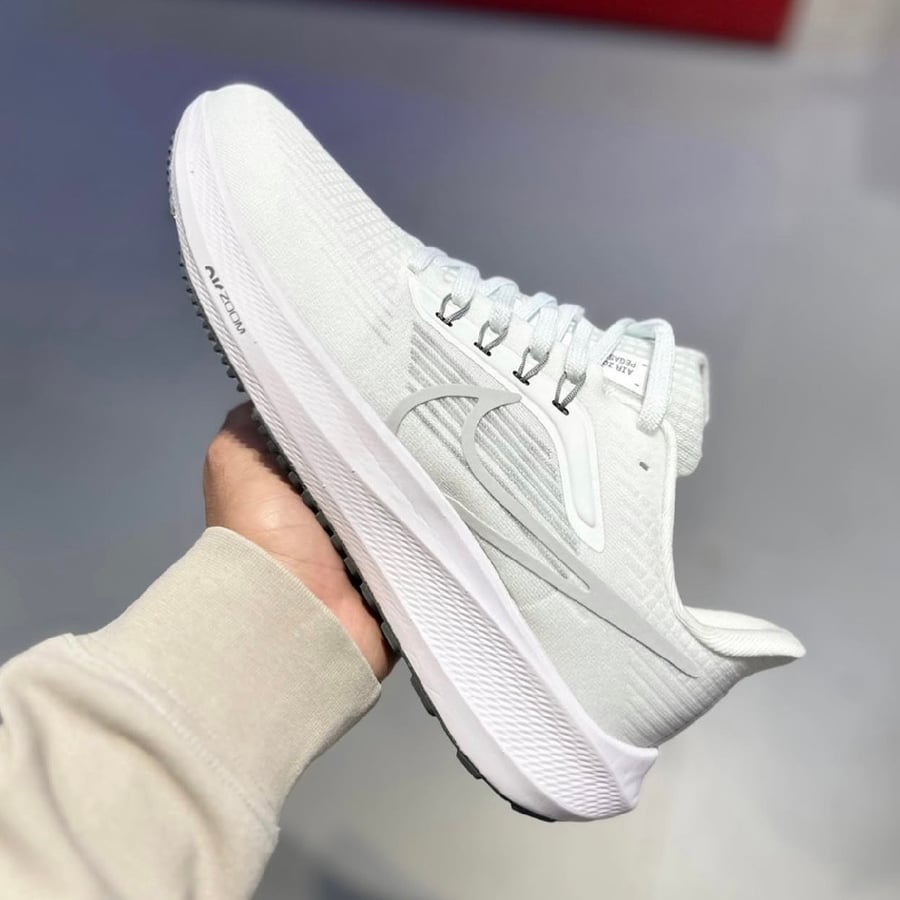 Pegasus 41 run