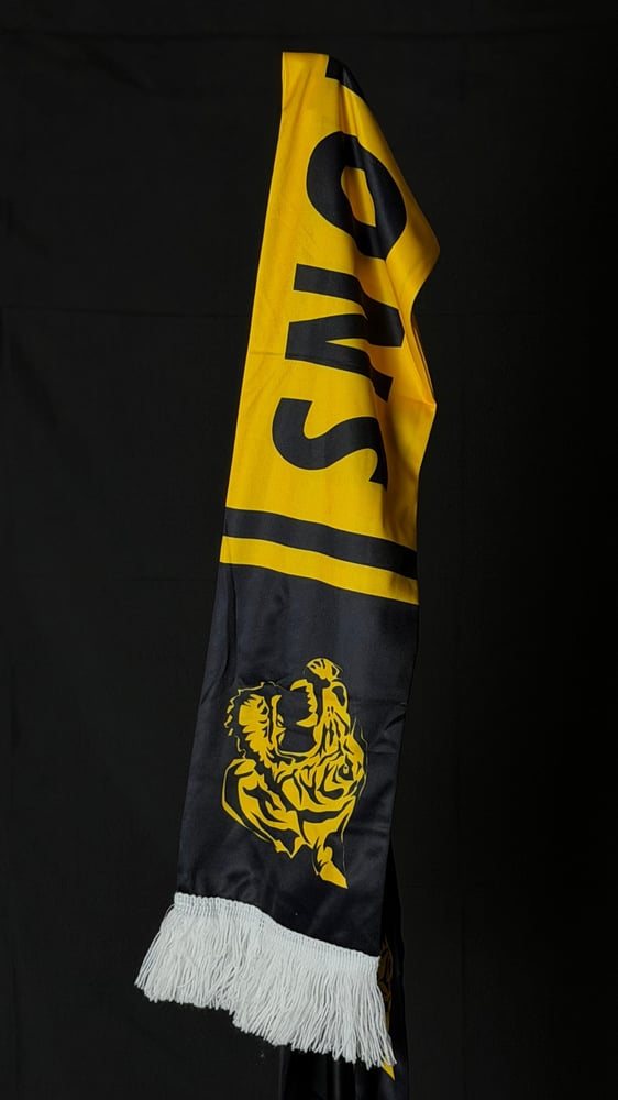شال الاتحاد مع كتابة champions