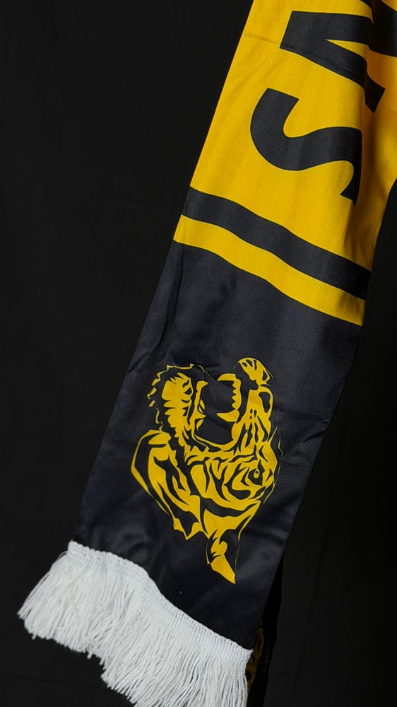 شال الاتحاد مع كتابة champions