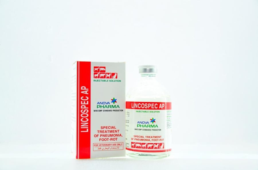 lincospec ap-بيطار
