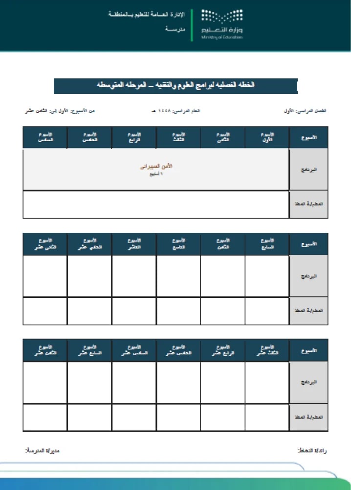 الأمن السيبراني