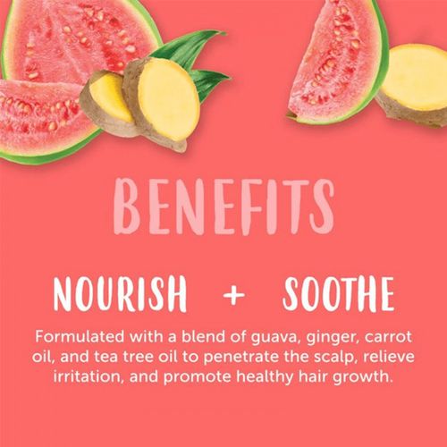 Shampoo hair 400 ml against dandruff with guava and ginger