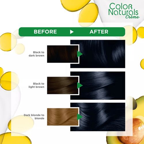 Garnier Color Naturals dye 2.1 black bluish