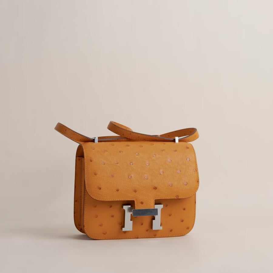 Constance 18CM Ostrich I9 Aprcot PHW