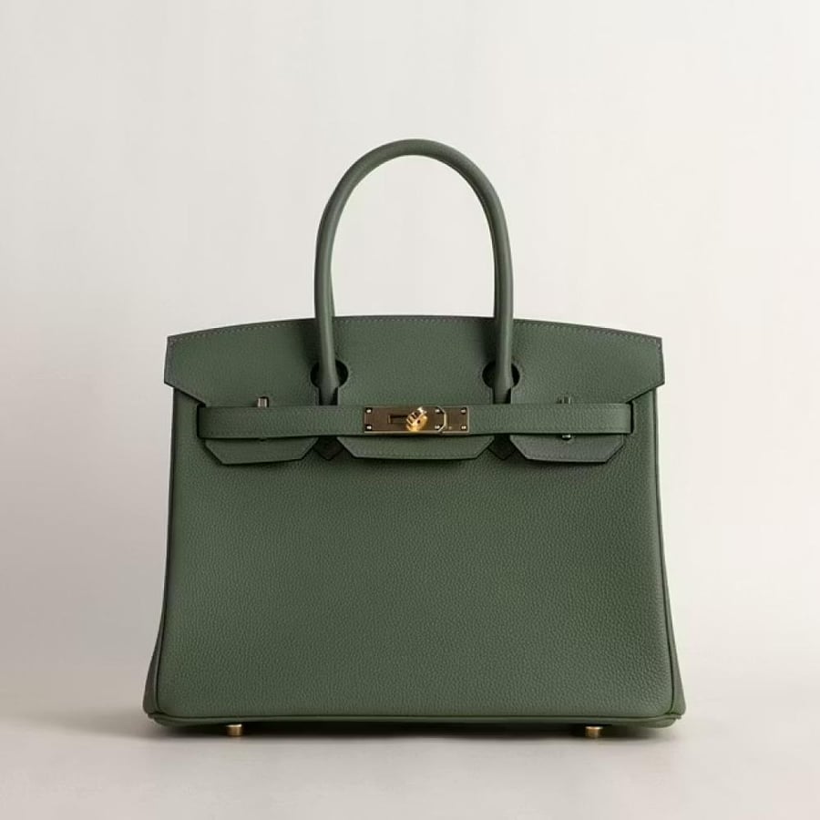 Birkin 30cm Togo V6 Canopee GHW