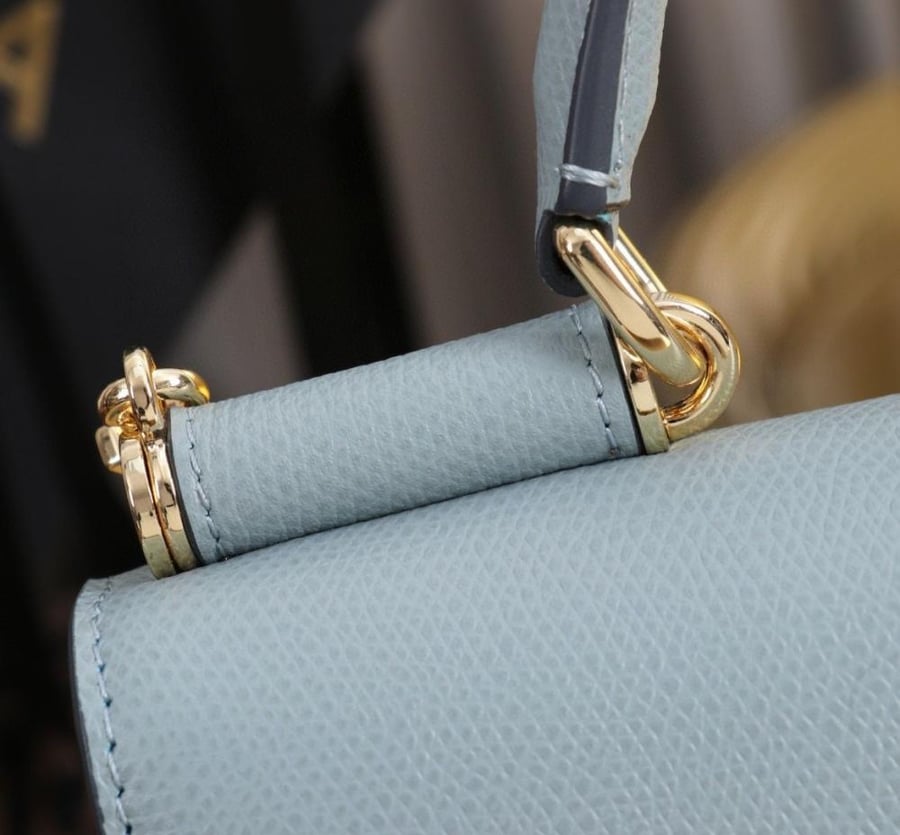 Dauphine-print calfskin mini bag