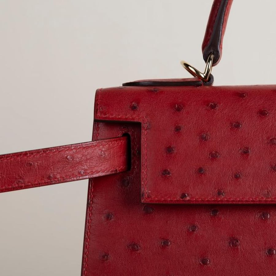 Kelly28 Ostrich Q5 Red GHW