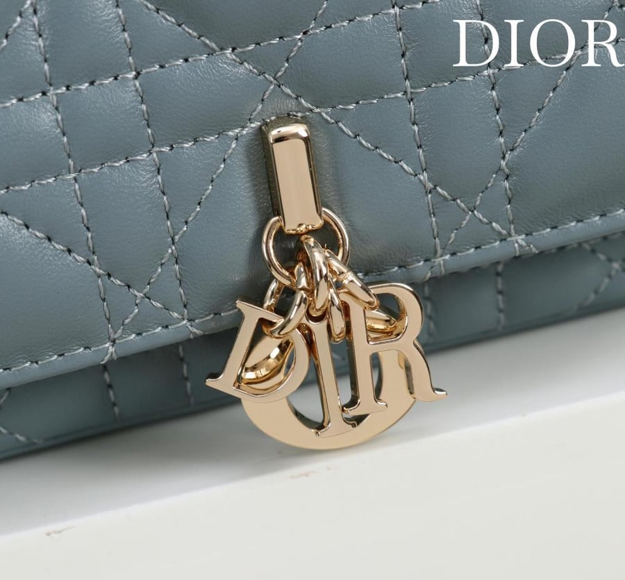 Lady dior phone pouch