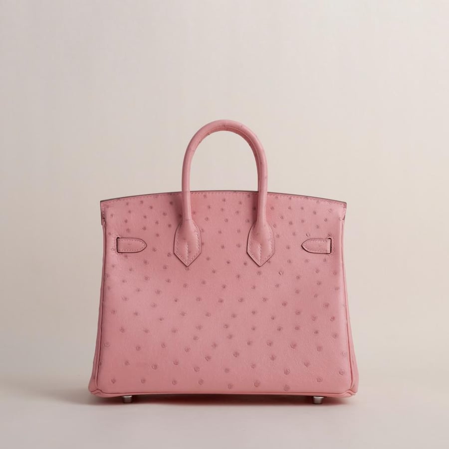 Birkin 25cm Ostrich 94 Terrecuite PHW