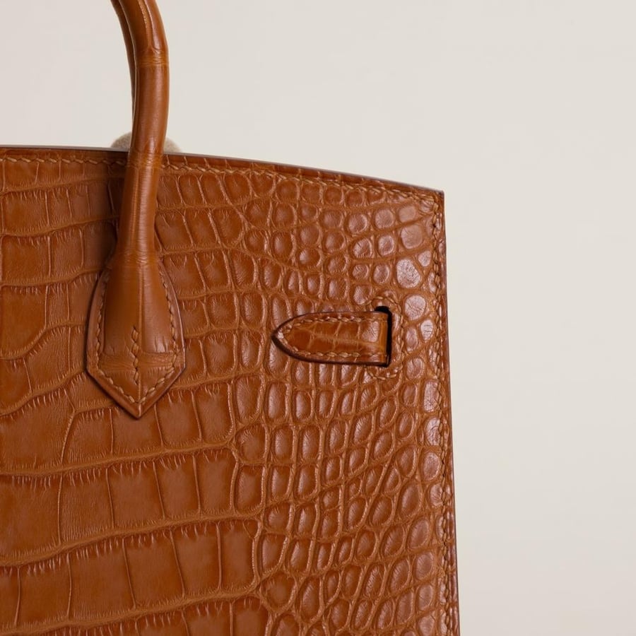Birkin 20cm Matte Alligator Crocodile CC37 Gold GHW