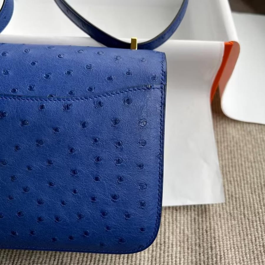 Constance 18CM Ostrich 7T BlueElectrie Gold