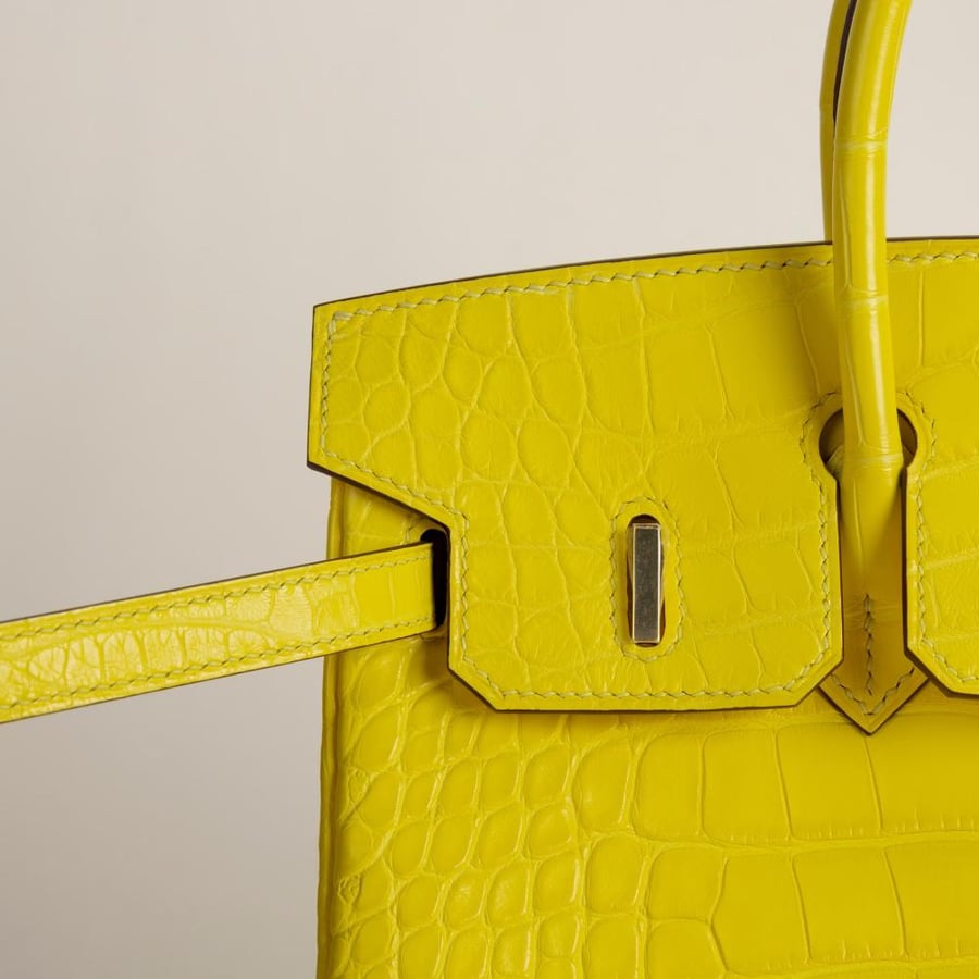 Birkin 25cm Matte Alligator Crocodile M9 Mimosa GHW