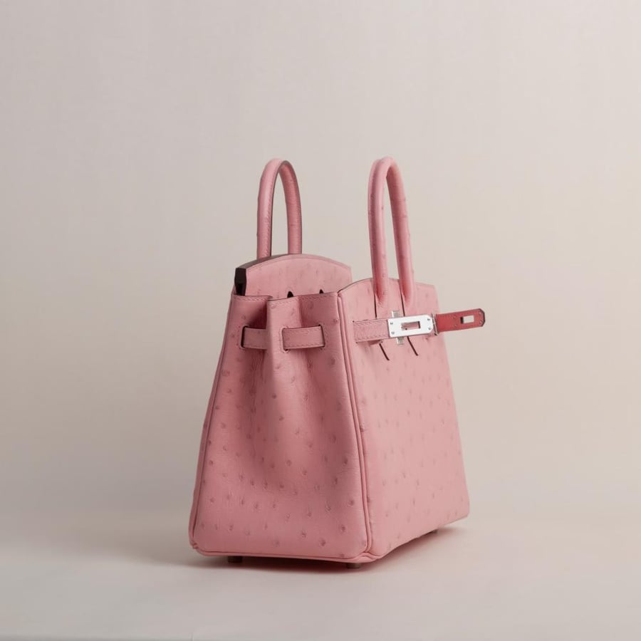 Birkin 25cm Ostrich 94 Terrecuite PHW