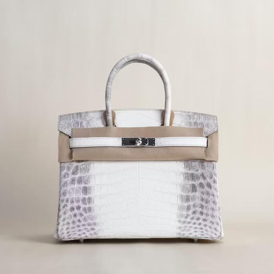 Birkin 30cm Matte Niloticus Crocodile 01 Himalayan PHW