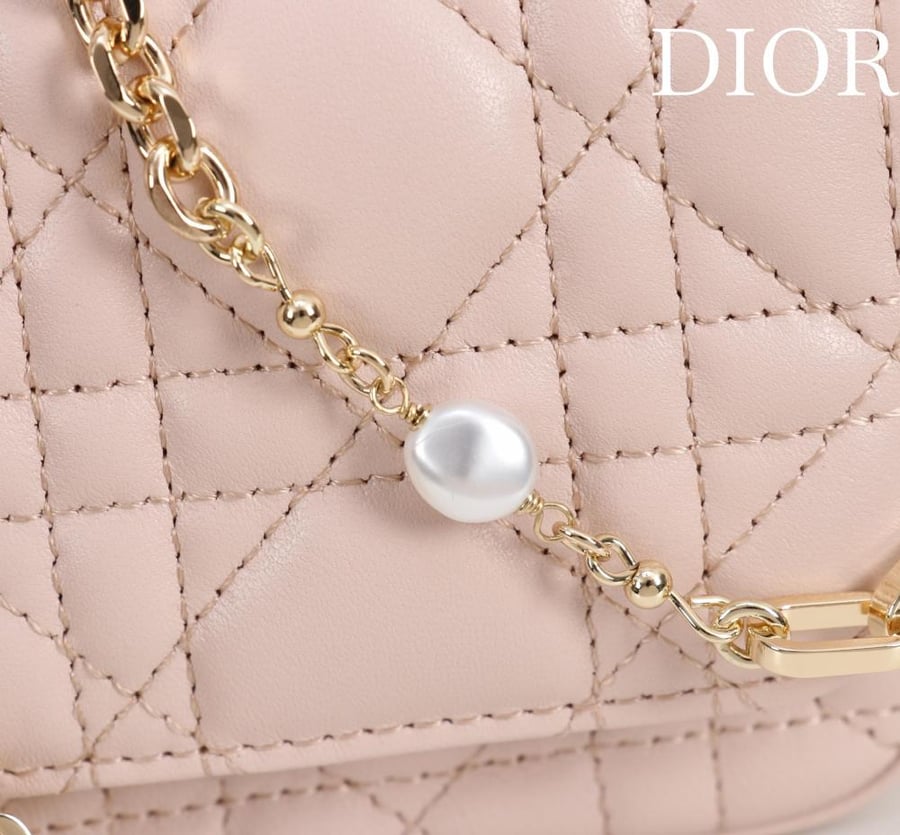 Lady dior phone pouch