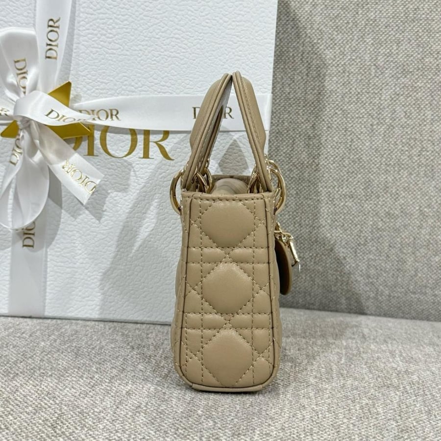 Micro lady dior