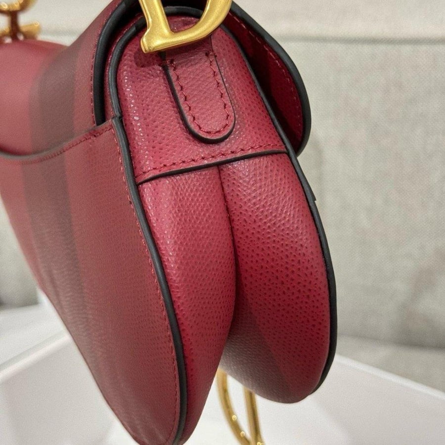 Dior Saddle Bag with Strap 19cm