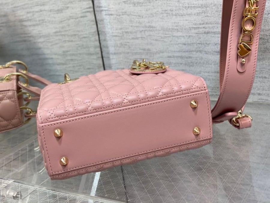 Small lady dior